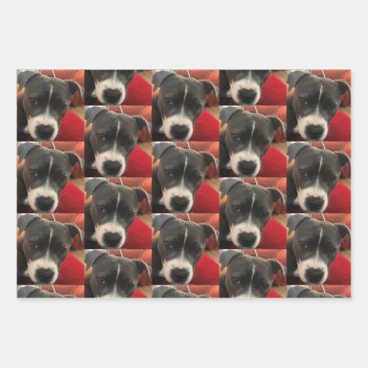Staffordshire Bull Terrier Wrapping Paper (Voorkant 2)