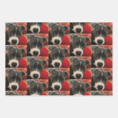 Staffordshire Bull Terrier Wrapping Paper (Voorkant)