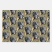 Staffordshire Bull Terrier Wrapping Paper (Voorkant 3)