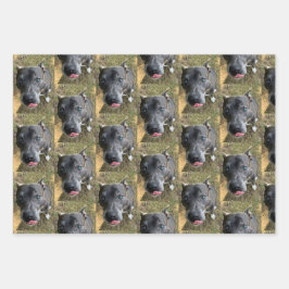 Staffordshire Bull Terrier Wrapping Paper