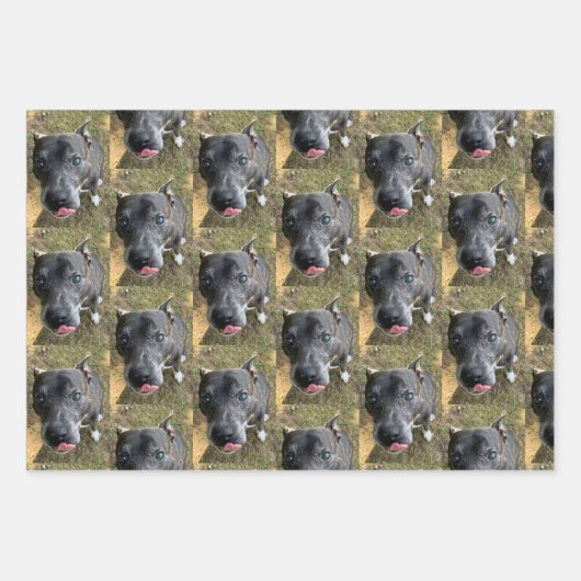 Staffordshire Bull Terrier Wrapping Paper (Voorkant)