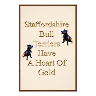 Staffordshire Bull Terriers hebben een goudhart, Foto Afdruk