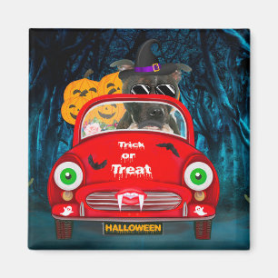 Staffordshire Dog Driving Car Scary Halloween Magneet