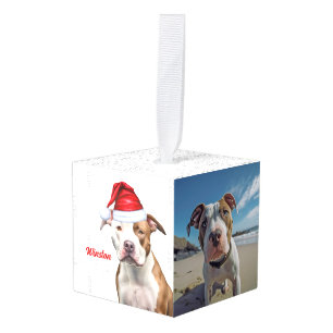 Staffordshire Dog Twee foto kerstvakantie Decoratie
