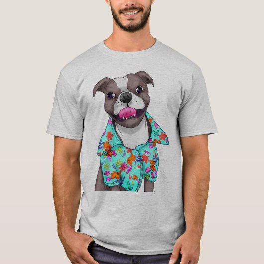 Staffordshire doodsbang in het shirt van Hawaiian. (Voorkant)
