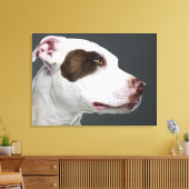 Staffordshire stier, close-up canvas afdruk (Insitu (Woonkamer))