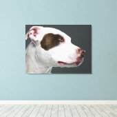 Staffordshire stier, close-up canvas afdruk (Insitu (Houten vloer))