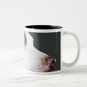 Staffordshire stier, close-up tweekleurige koffiemok