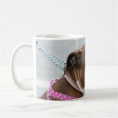 Staffordshire stier mok (Links)