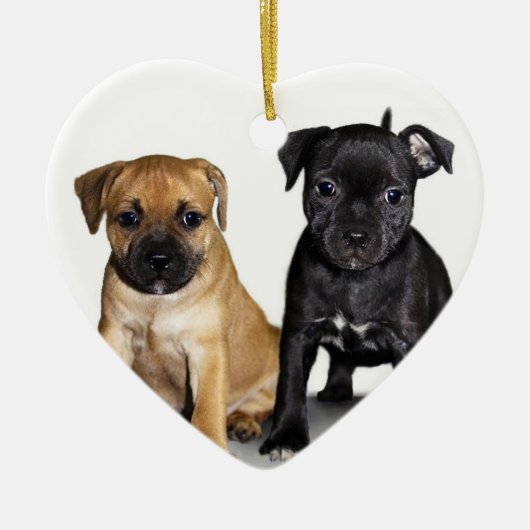 Staffordshire stier puppy ornament (Voorkant)