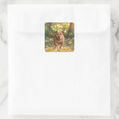 Staffordshire stier vierkante sticker (Tas)