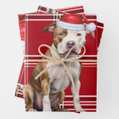 Staffordshire Terrier Kersthond Red Plaid Inpakpapier Vel (In situ)