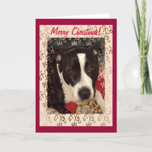Staffordshire Terrier Vrolijke Kerstmis! Feestdagen Kaart