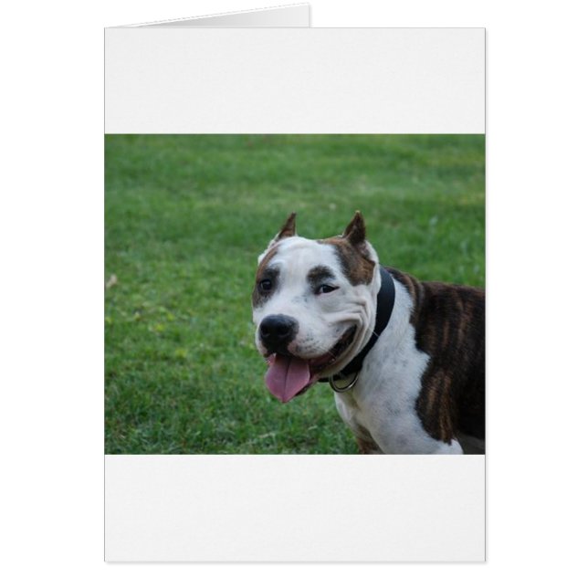 staffy 4.png (Voorkant)