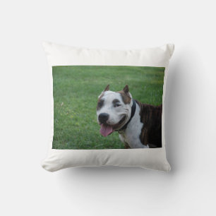 staffy 4.png kussen