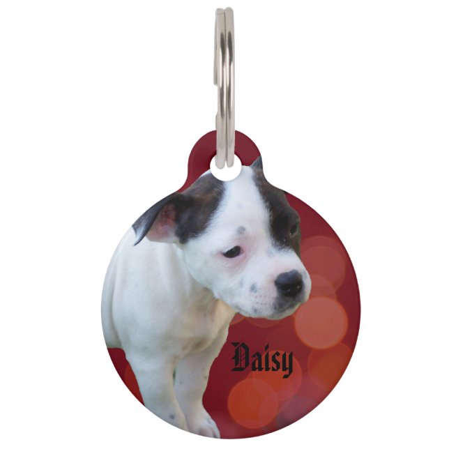 Staffy Daisy Naam Logo, Huisdierpenning (Voorkant)