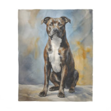 Staffy hond Portret