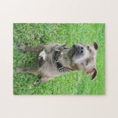 Staffy in de gaten, puzzel (Horizontaal)