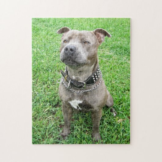 Staffy in de gaten, puzzel (Verticaal)