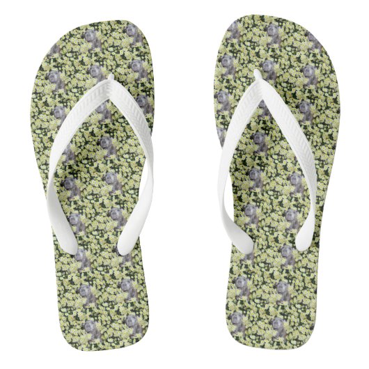 Staffy in de madeliefjes, teenslippers (Voetbed)