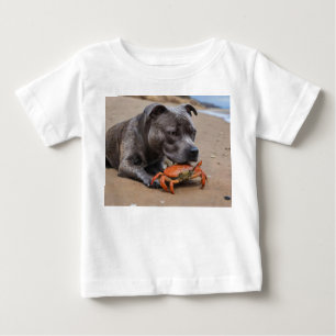 Staffy is bevriend met een strandkrab,