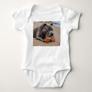 Staffy is bevriend met een strandkrab, romper