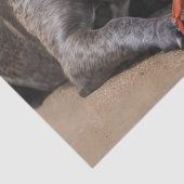 Staffy is bevriend met een strandkrab, tissuepapier (Detail)