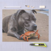 Staffy is bevriend met een strandkrab, tissuepapier (Craft)