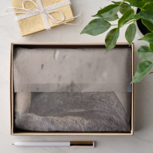 Staffy is bevriend met een strandkrab, tissuepapier (Geschenk)