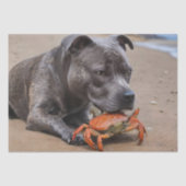 Staffy is bevriend met een strandkrab, tissuepapier (Voorkant)