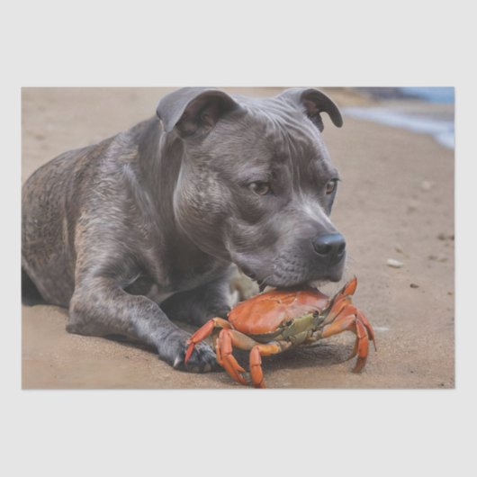 Staffy is bevriend met een strandkrab, tissuepapier (Voorkant)