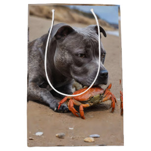 Staffy is vrienden met een strandkrab, medium cadeauzakje