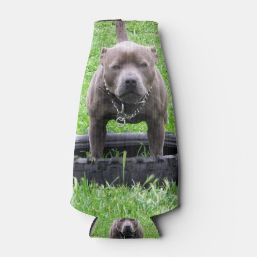 Staffy klaar om te spelen, flesjeskoeler (Voorkant)