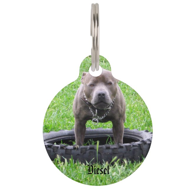 Staffy Met Diesel Naam Logo, Huisdierpenning (Voorkant)