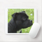 staffy.png muismat (Met muis)