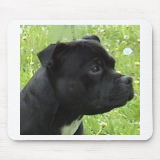 staffy.png muismat (Voorkant)