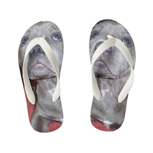 Staffy Puppy Sooky Eyes Kinder Teenslippers (Voetbed)