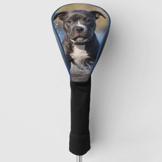 Staffy puppy spatten in het Zee, Golfheadcover (Voorkant)