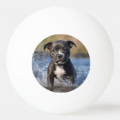 Staffy puppy spatten in het Zee, Pingpongbal (Achterkant)