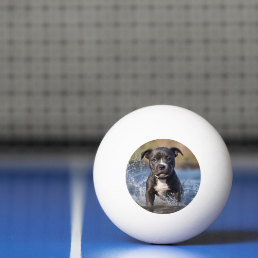 Staffy puppy spatten in het Zee, Pingpongbal (Net)