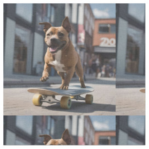 Staffy rijdt op een Sakeboard, Stof
