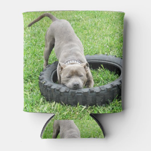 Staffy spelen met band, blikjeskoeler (Voorkant)