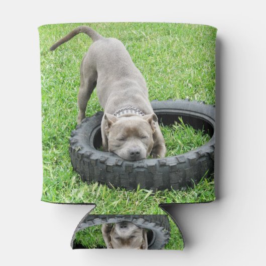 Staffy spelen met band, blikjeskoeler (Achterkant)