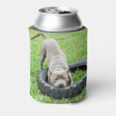 Staffy spelen met band, blikjeskoeler (Blikje Achterkant)