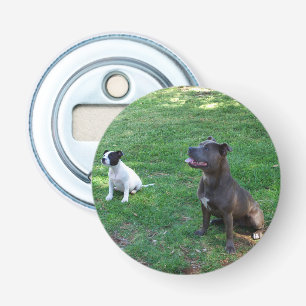 Staffys die wachten op behandeling, opening voor m button flesopener