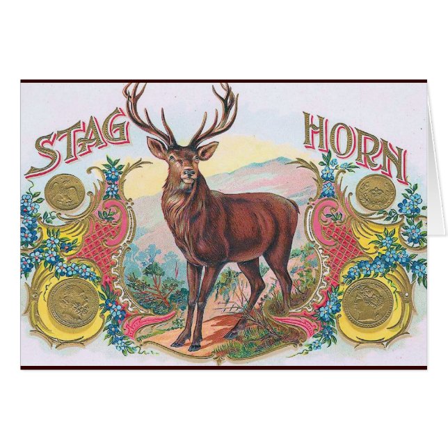  Stag (Voorkant Horizontaal)