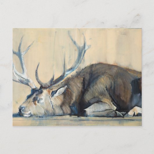 Stag 2014 briefkaart (Voorkant)