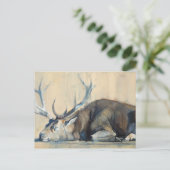 Stag 2014 briefkaart (Staand voorkant)