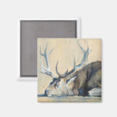 Stag 2014 magneet (Voorkant / Achterkant)