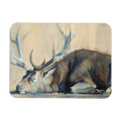 Stag 2014 magneet (Horizontaal)
